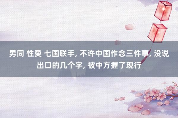 男同 性愛 七国联手， 不许中国作念三件事， 没说出口的几个字， 被中方握了现行