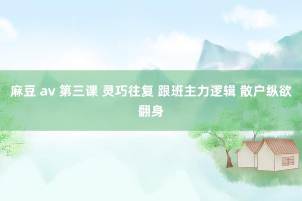 麻豆 av 第三课 灵巧往复 跟班主力逻辑 散户纵欲翻身