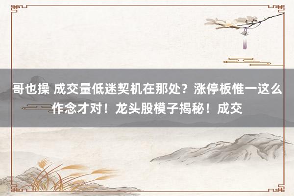 哥也操 成交量低迷契机在那处？涨停板惟一这么作念才对！龙头股模子揭秘！成交