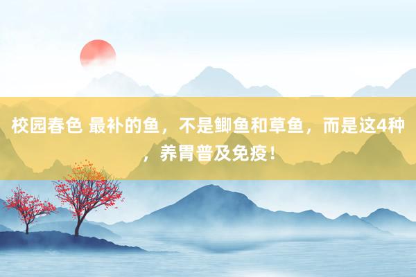 校园春色 最补的鱼，不是鲫鱼和草鱼，而是这4种，养胃普及免疫！