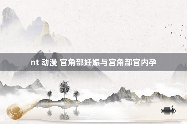 nt 动漫 宫角部妊娠与宫角部宫内孕