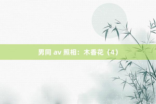 男同 av 照相：木香花（4）