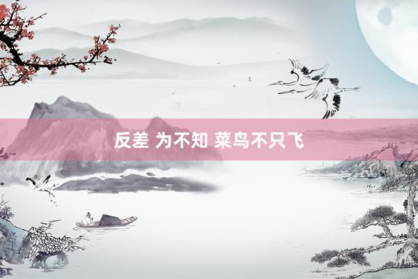 反差 为不知 菜鸟不只飞