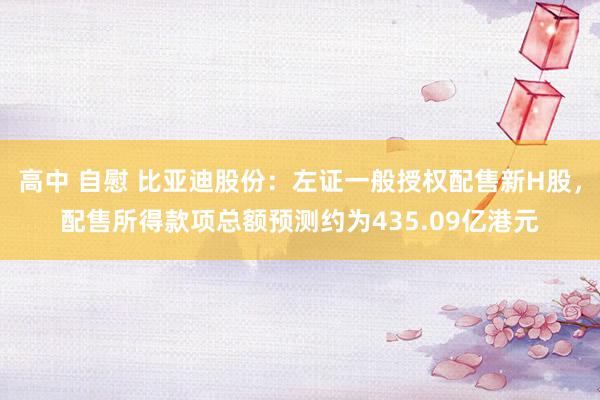 高中 自慰 比亚迪股份：左证一般授权配售新H股，配售所得款项总额预测约为435.09亿港元