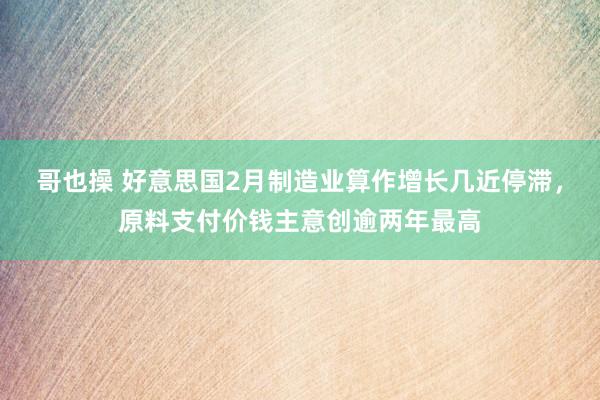 哥也操 好意思国2月制造业算作增长几近停滞，原料支付价钱主意创逾两年最高