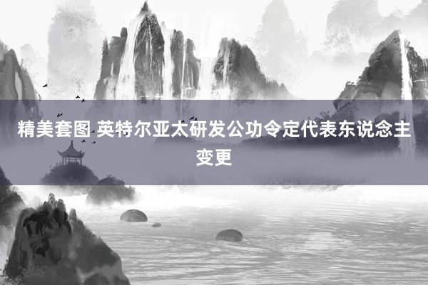 精美套图 英特尔亚太研发公功令定代表东说念主变更